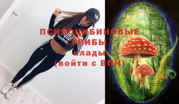 PSILOCYBIN Алексин